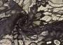 Ткань гипюр черного оттенка в цветы