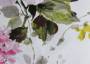 Портьерная ткань рогожка BELLAMI крупные розовые цветы на белом фоне