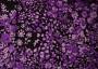 Ткань трикотаж черного оттенка в фиолетовых цветах