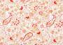 Ткань для штор саржа TWISTER TIFFANY мелкие коралловые цветы и малиновые огурцы (раппорт 11х11см)