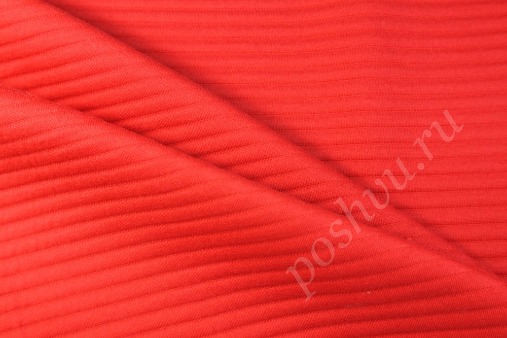 Ткань трикотаж Красная рябина