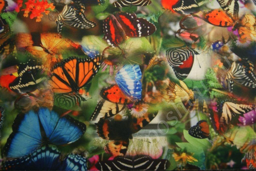 Трикотаж, на зеленом акварельном фоне экзотические бабочки