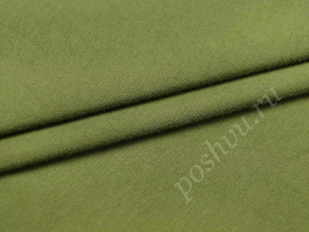 Футер двунитка (петля) кедрово-зеленого цвета