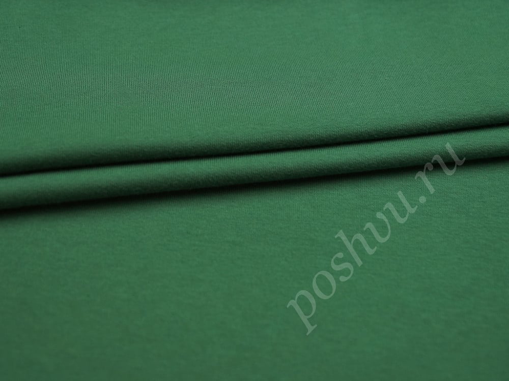 Футер трехнитка с начесом зеленого цвета